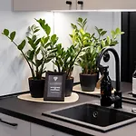Tempus Te Avangard With Terrace And Gym * Talin