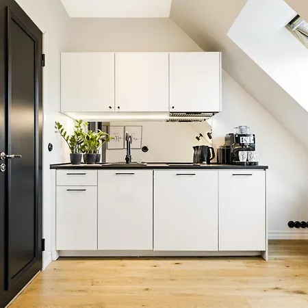 公寓 Tempus Te Avangard With Terrace And Gym 塔林