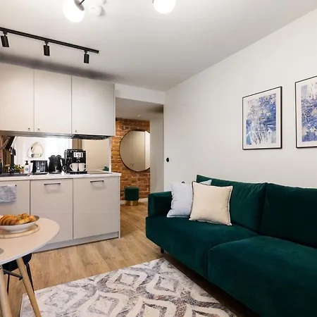 Tempus Te Avangard With Terrace And Gym * 塔林