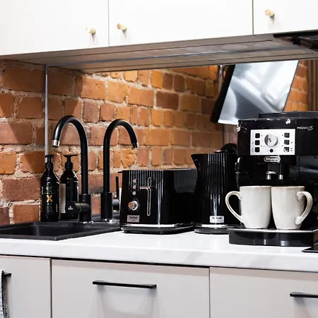 Tempus Te Avangard With Terrace And Gym 公寓