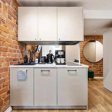 公寓 Tempus Te Avangard With Terrace And Gym *