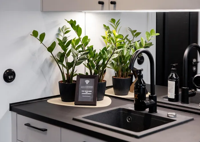 Tempus Te Avangard With Terrace And Gym * タリン